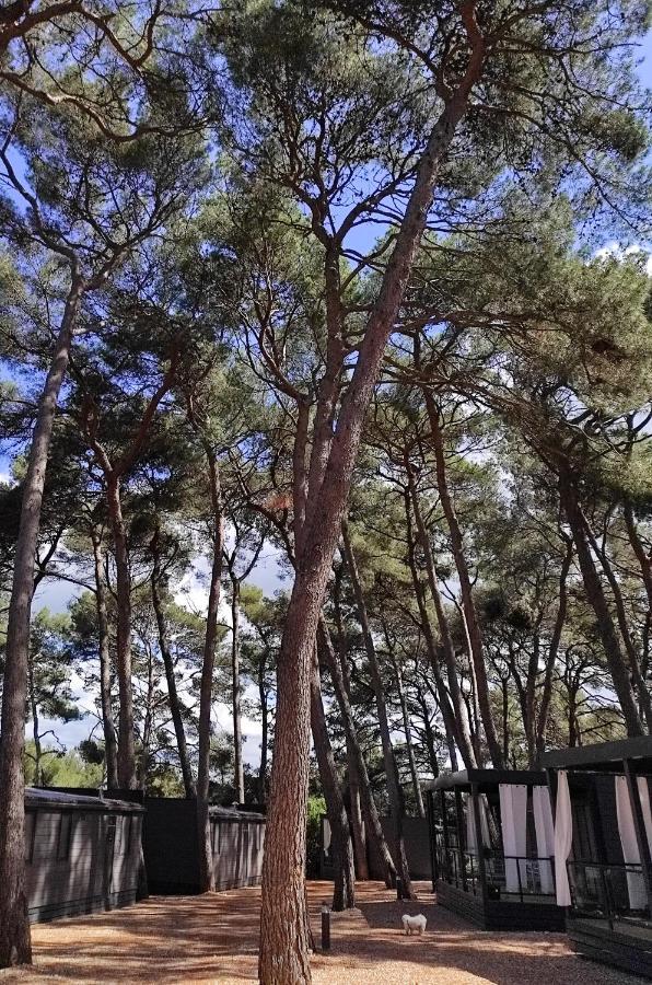 Mobile Home More Porton Nature Hideouts Rovinj Exteriér fotografie